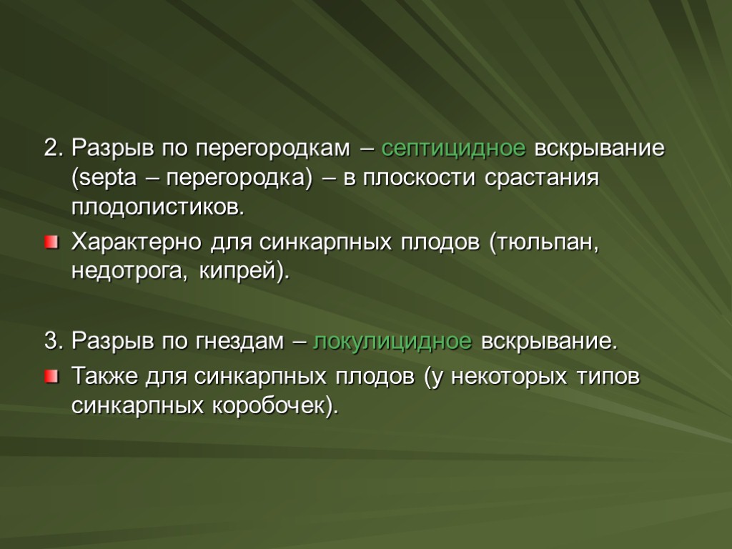 2. Разрыв по перегородкам – септицидное вскрывание (septa – перегородка) – в плоскости срастания